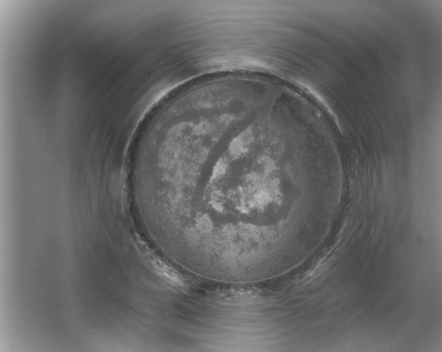 X0000067470975200604071150