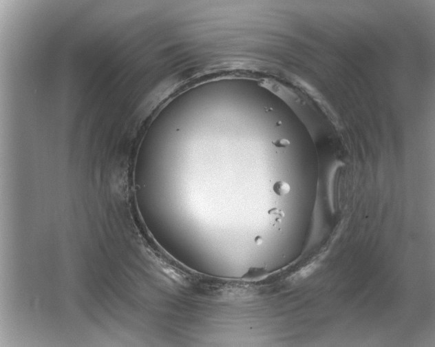 X0000067470977200604071150