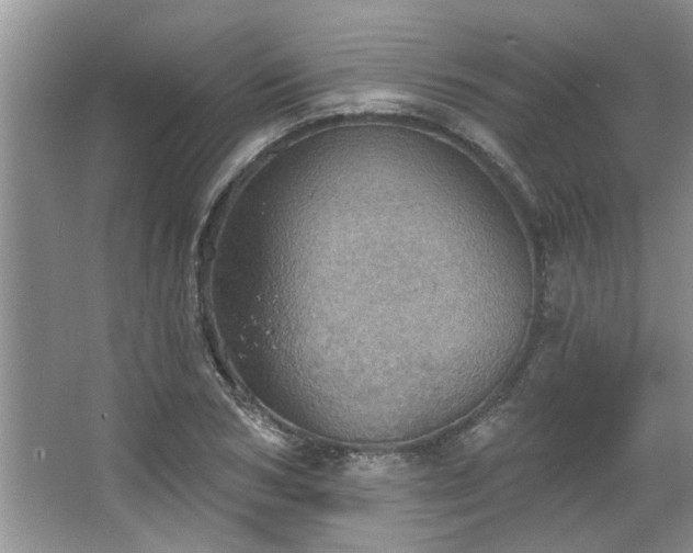 X0000067470978200604071150