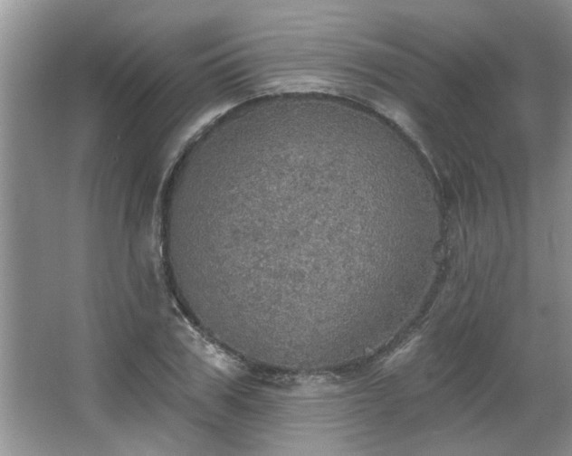 X0000067470979200604071150