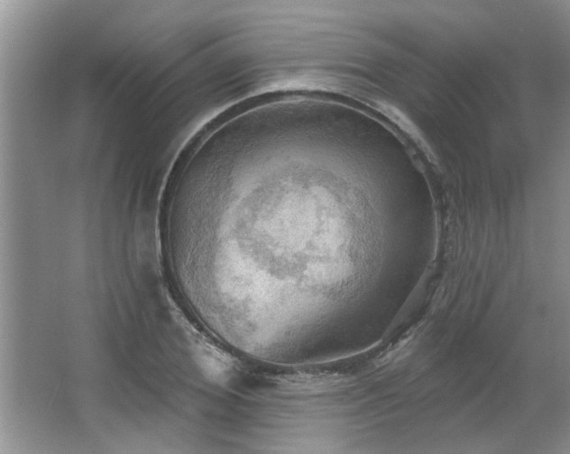 X0000067470980200604071150