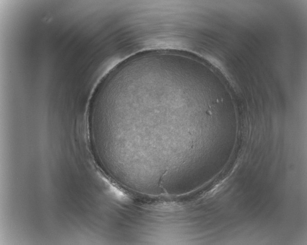 X0000067470982200604071150