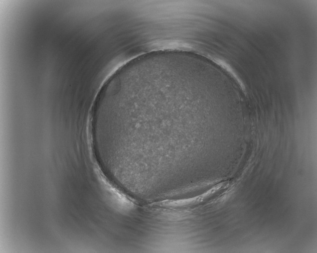 X0000067470983200604071150