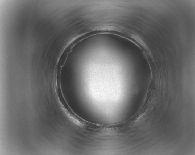 X0000067470984200604071150