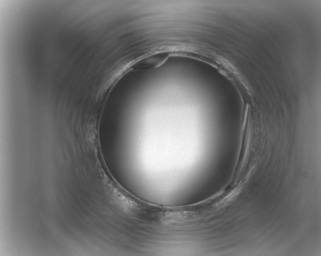 X0000067470985200604071149