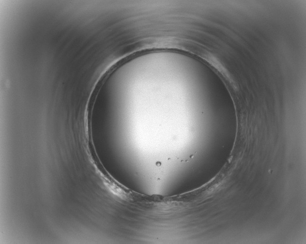 X0000067470988200604071149