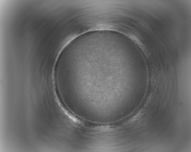 X0000067470990200604071149