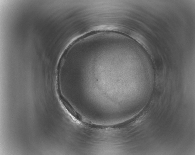 X0000067470992200604071149