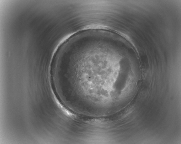 X0000067470995200604071149