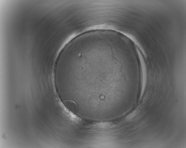 X0000067470998200604071149