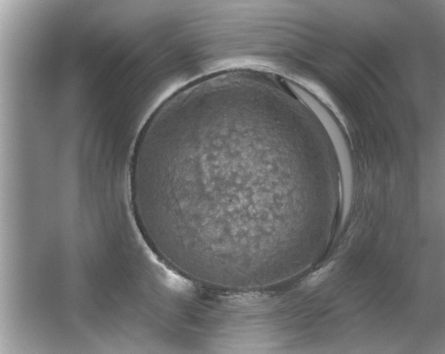 X0000067470999200604071149