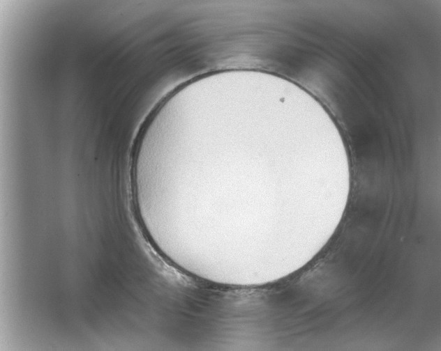 X0000067471000200604071149