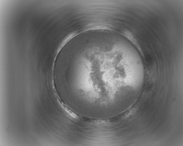 X0000067471002200604071149