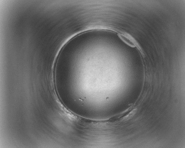 X0000067471004200604071149