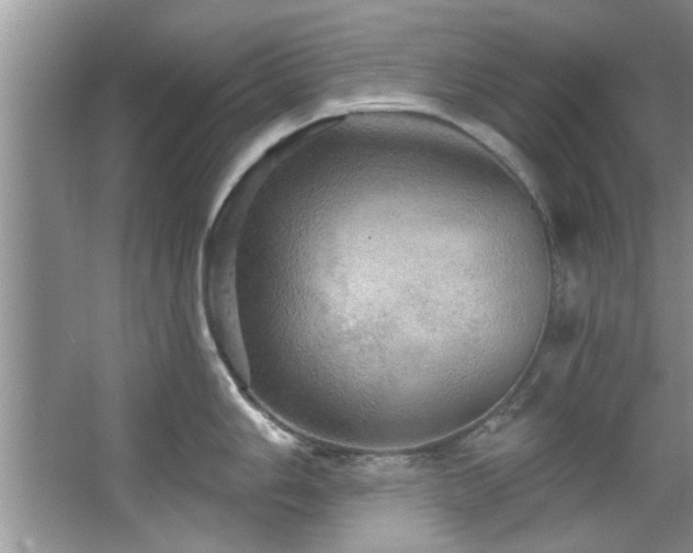 X0000067471006200604071149