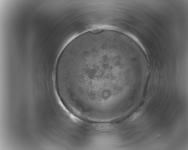 X0000067471007200604071149