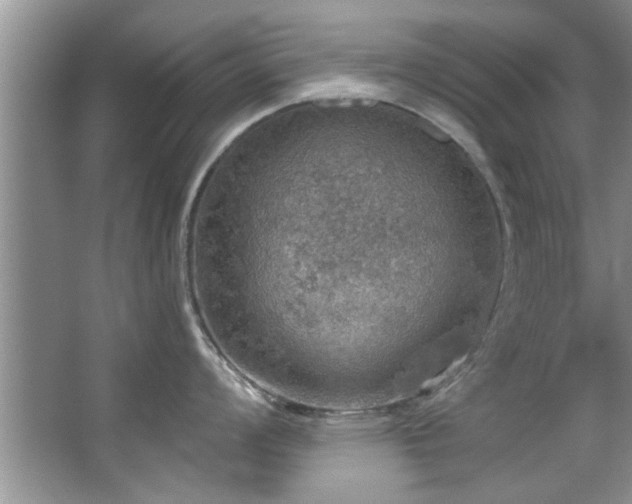 X0000067471008200604071149