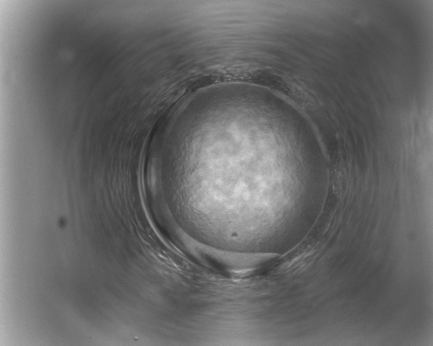 X0000067471010200604071148