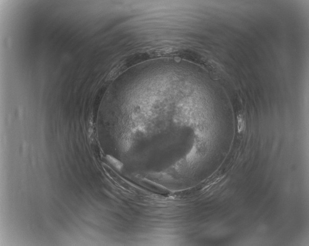 X0000067471011200604071148