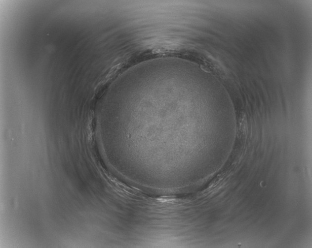 X0000067471012200604071148