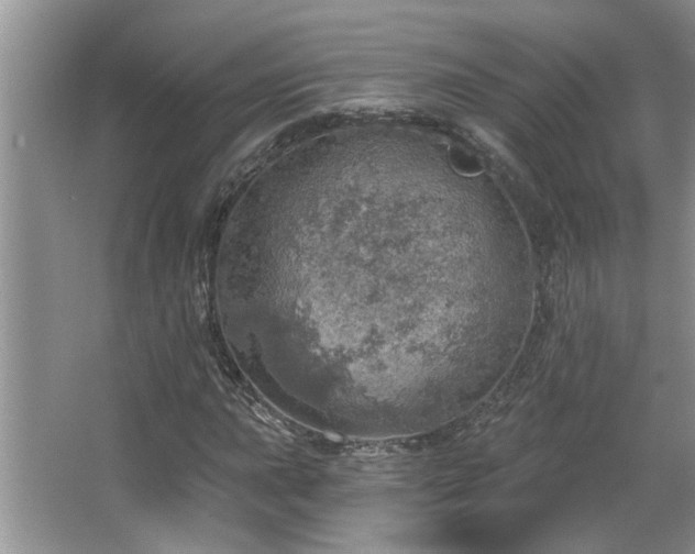 X0000067471015200604071148