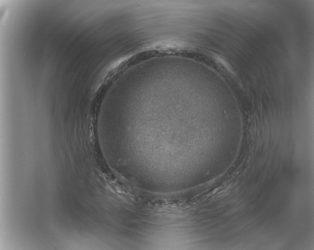 X0000067471016200604071148