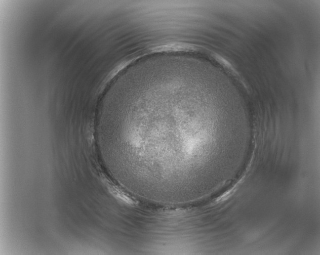 X0000067471017200604071148