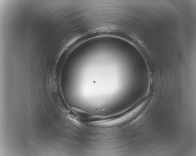 X0000067471018200604071148