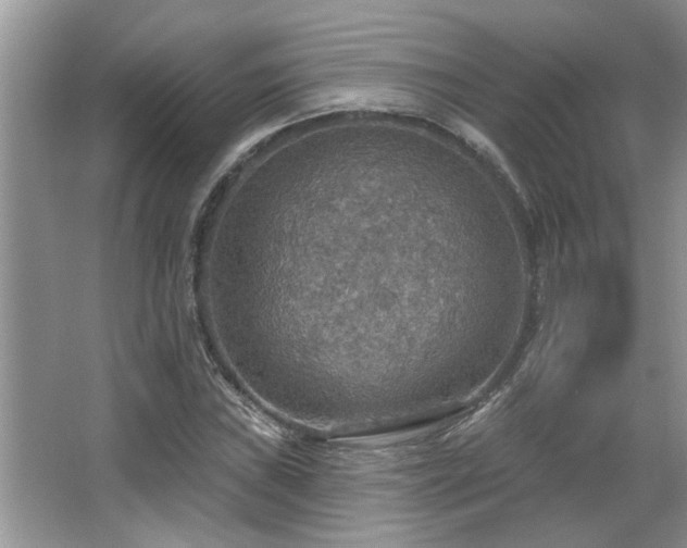 X0000067471019200604071148