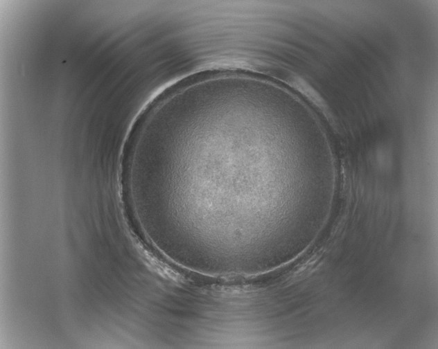 X0000067471020200604071148