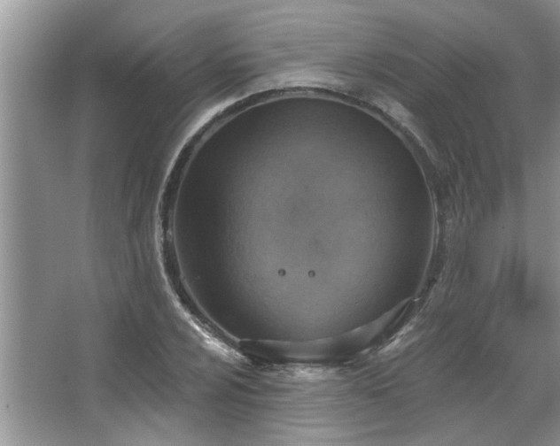 X0000067471024200604071149