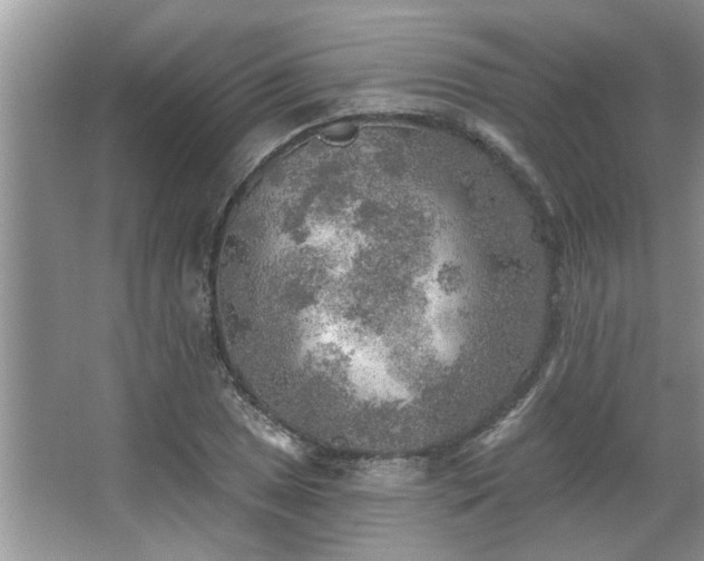 X0000067471025200604071149