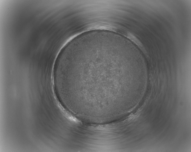 X0000067471028200604071149