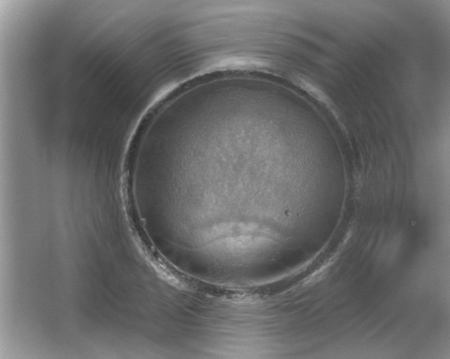 X0000067471029200604071149