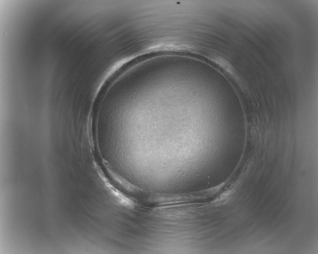 X0000067471030200604071149