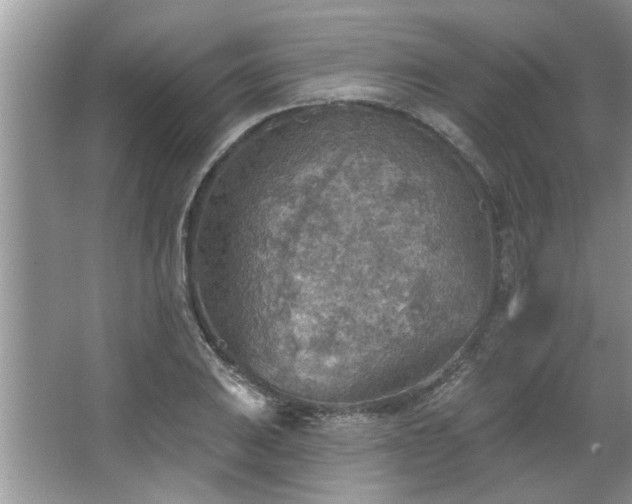 X0000067471031200604071149