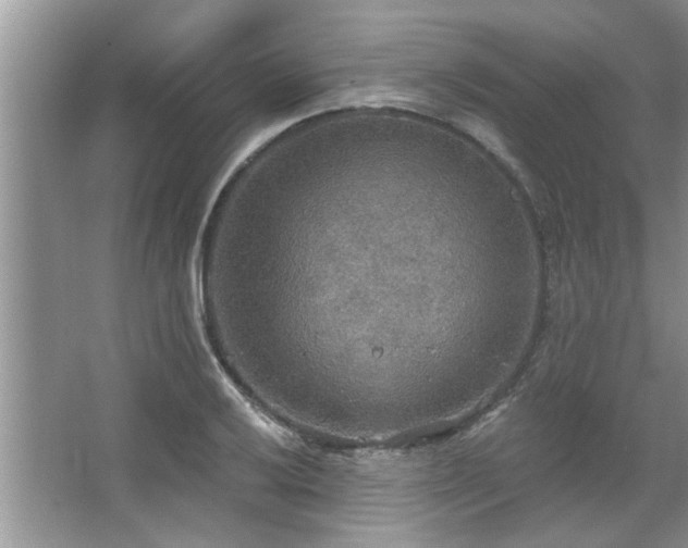 X0000067471032200604071149