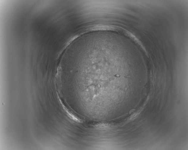 X0000067471033200604071149