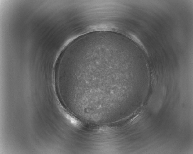 X0000067471035200604071149