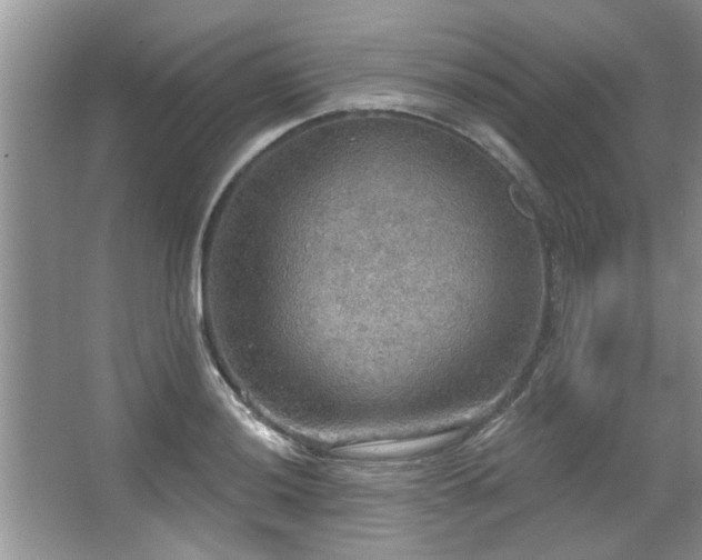 X0000067471036200604071149