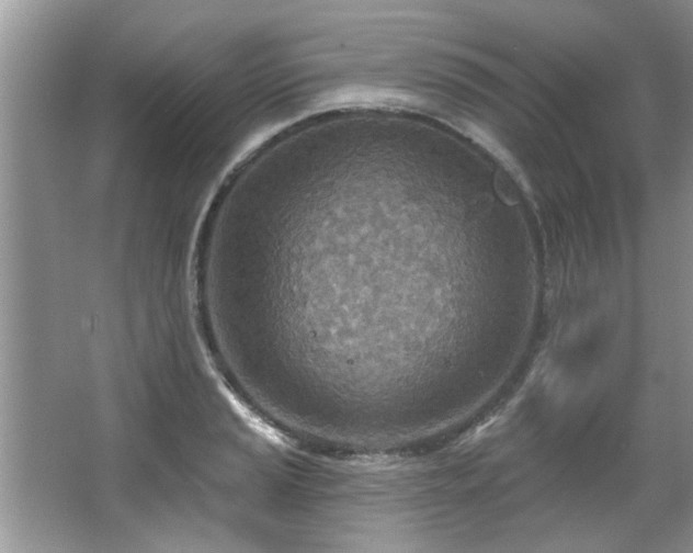 X0000067471037200604071149