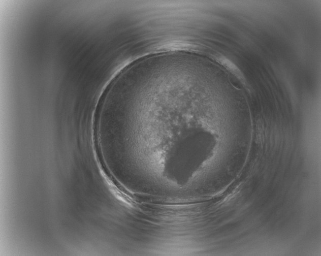 X0000067471039200604071149