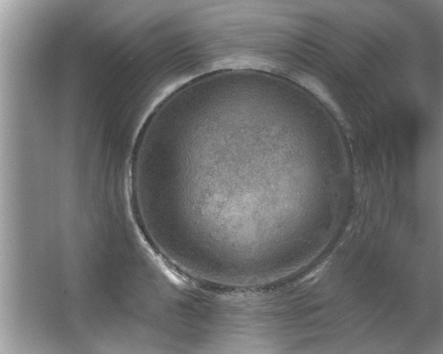 X0000067471040200604071149