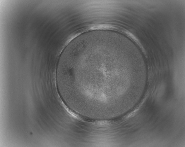 X0000067471041200604071149