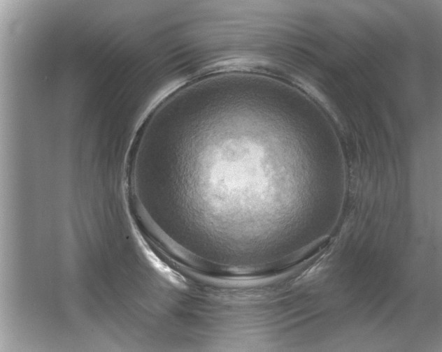 X0000067471042200604071149