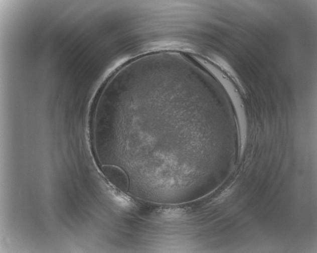 X0000067471043200604071149