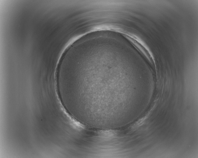 X0000067471045200604071149