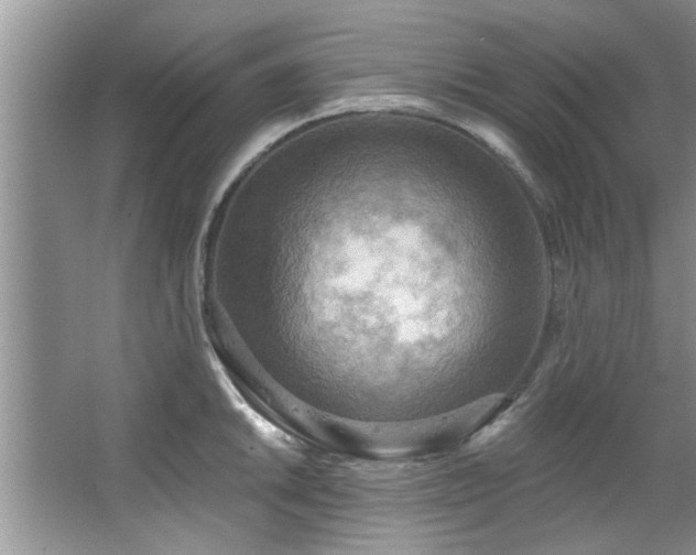 X0000067471046200604071149