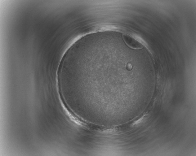 X0000067471047200604071149