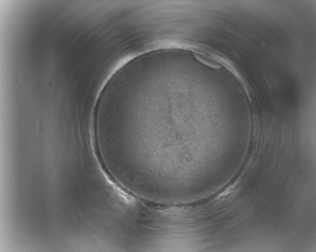 X0000067471048200604071149